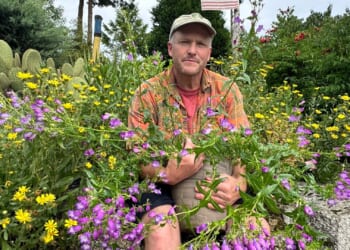 Gardening experts share their ultimate tips on how to make life easier in your outside space for 2026