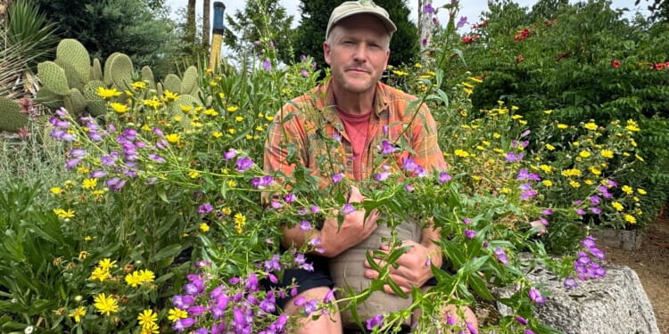 Gardening experts share their ultimate tips on how to make life easier in your outside space for 2026