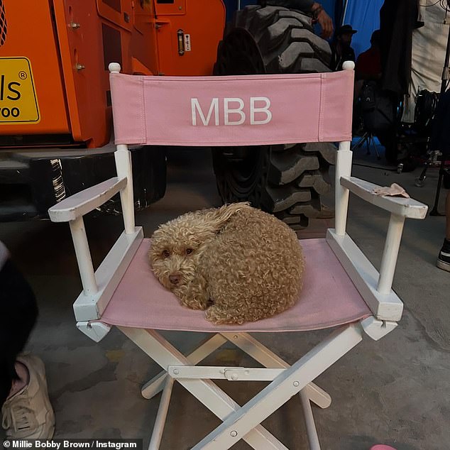 While another captured her dog living their best life on a personalised film set chair