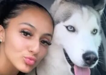 One minute I was walking my puppy, the next there was a snap, I was covered in blood… and my life was changed forever