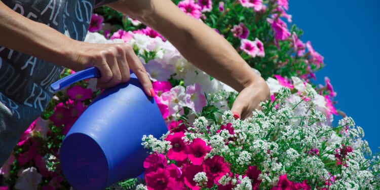 Former royal gardener reveals the Xmas hack that can help your garden flourish in spring AND uses up your leftovers too