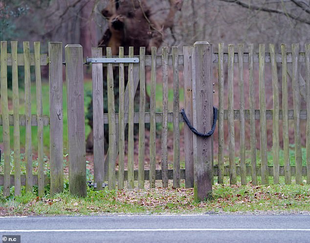 Parts of Windsor Great Park have been closed off to dog walkers, horse riders and members of the public, leaving some with a four mile detour to undertake