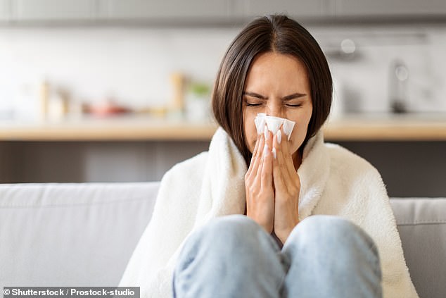A streaming nose is one of the main symptoms of chronic rhinosinusitis, an inflammatory condition impacting the nose and sinuses, which affects around 11 per cent of adults in the UK (file photo)