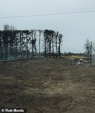 After the fires sits an empty lot where the home once stood