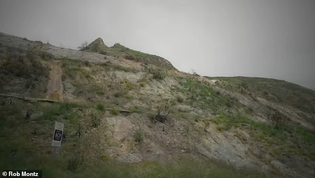 Maryam filed permits to clear the state-owned land near her property, which she credits for her house surviving the devastating fires