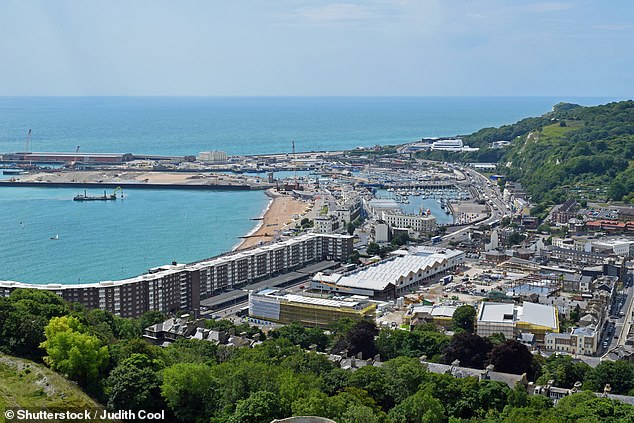 View of the English channel and the Port of Dover, England (file photo)