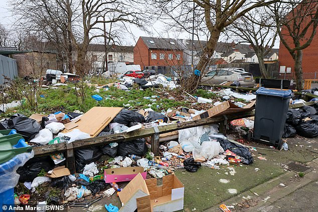 Rubbish takes over a green area on Grove Cottage Road this morning