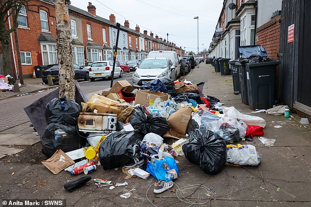 Residents say the disgusting piles of rubbish in Birmingham are making their lives 'hell'