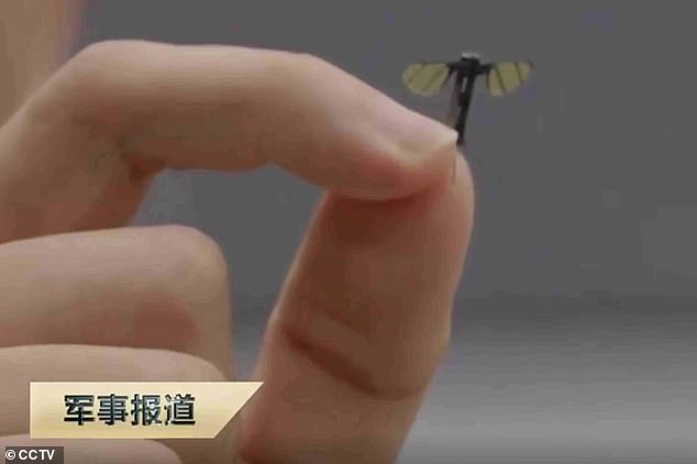 The mosquito-sized nanorobots measure just 1.3cm in width