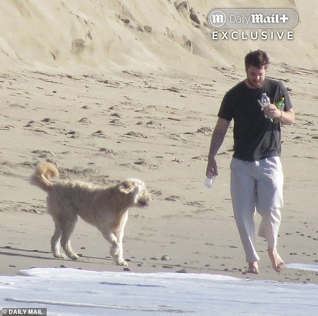 Silberberg, meanwhile, was seen taking a walk along the beach with Romy's dog, Billie, on Saturday