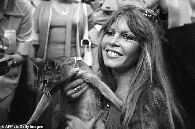 Bardot became an animal rights activist. Above: Attending the international feline exhibition in Saint-Tropez, France, June 1977