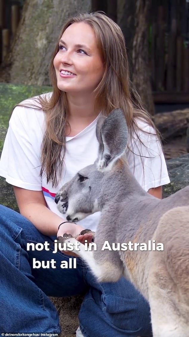 The 21-year-old was seen getting close to several animals, including bilbies and a koala called Humphrey – and even fed some kangaroos