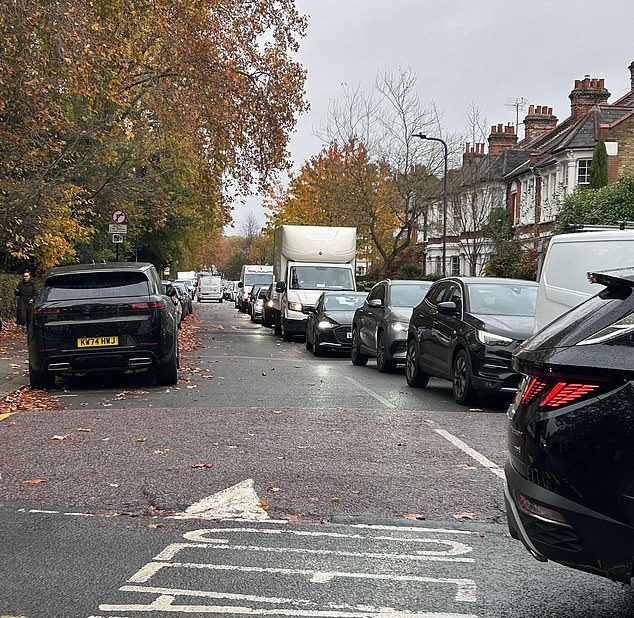 Being stuck in hefty jams has become part of the daily routine for locals after their borough became the latest to be hit with road closures - all in the name of 'healthy neighbourhoods'