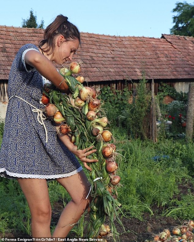 The family grow their own food and are largely self-sufficient. Pictured: Alexandra harvesting a crop of onions