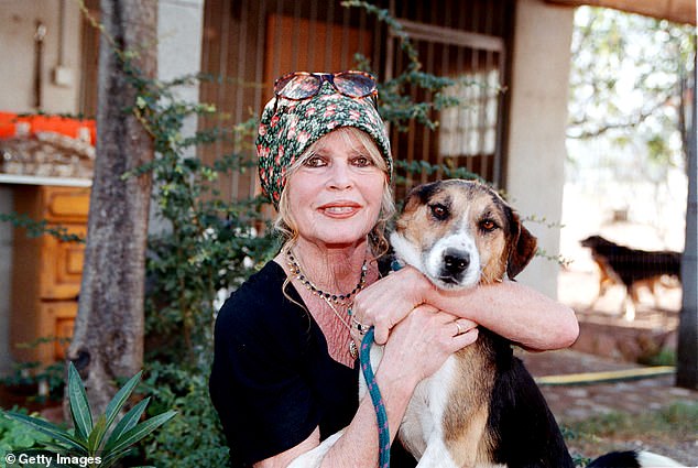Brigitte  was reclusive in her final years, instead preferring to remain out of the spotlight at her secluded and very private property in Saint Tropez (pictured in 2001)