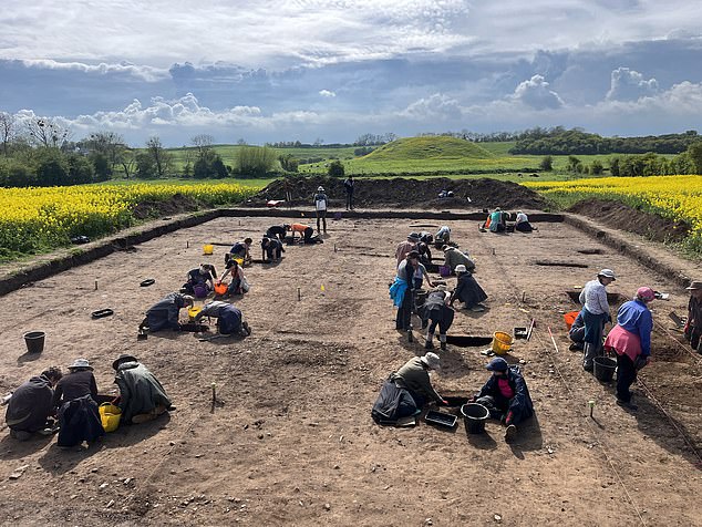 Students from the University of York pictured excavating a timber hall found near Skipsea Castle