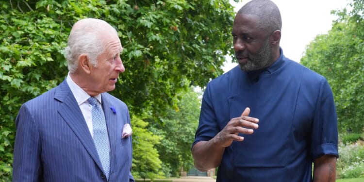 Idris Elba knighted for anti-knife crime campaign and Lioness heroes given gongs as New Year Honours List revealed