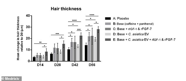 The bar graph compares the final increase in hair shaft thickness across treatment groups. Group E (full formula) shows the most substantial gain, more than doubling the improvement seen with the placebo, indicating a strong thickening effect from the combined active ingredients