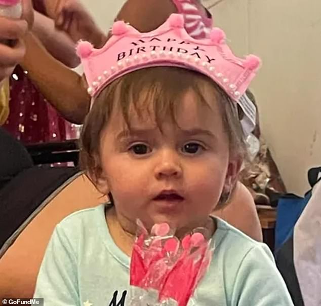 A GoFundMe for Novaleigh's funeral arrangements raised about $4,600