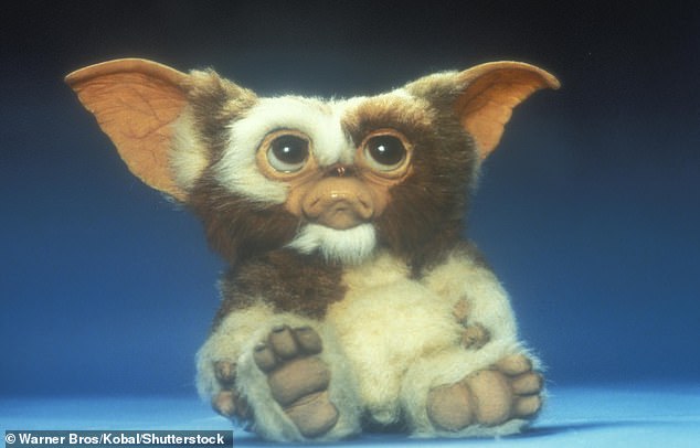 Few people realise when they are watching America's Got Talent that judge Howie Mandel was actually the voice of Gizmo