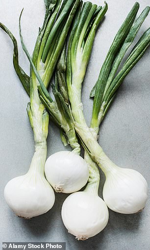 Spring onions