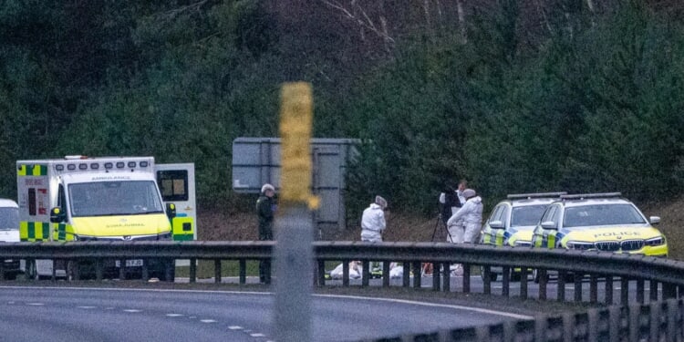 Driver in his 60s shot dead by armed cops after crash had 'pointed gun at girl'