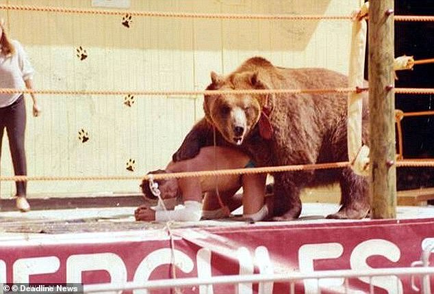 Hercules battled wrestlers, starred in movies and adverts and even enjoyed a pint of lager