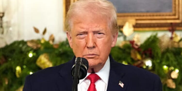 President Donald Trump has presided over the largest one-year drop in U.S. homicides ever recorded.