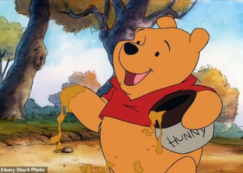 Winnie-the-Pooh would be classed as obese in today's world, according to AN Wilson
