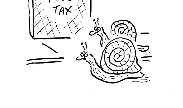 Rachel Reeves' pay-per-mile tax on electric vehicles from 2028 is a baffling move by a government that's supposed to be doing all it can to promote greener motoring, says Daily Mail and This is Money motoring editor Rob Hull