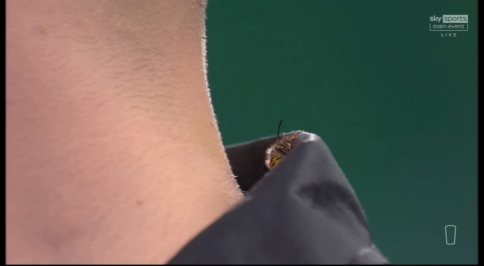 A bee on a person's shoulder during a Sky Sports broadcast.