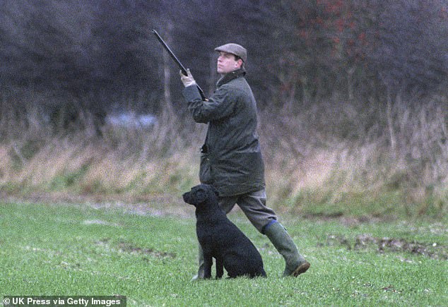 The former Duke Of York on a royal shoot at the Sandringham estate in Norfolk in December 1992
