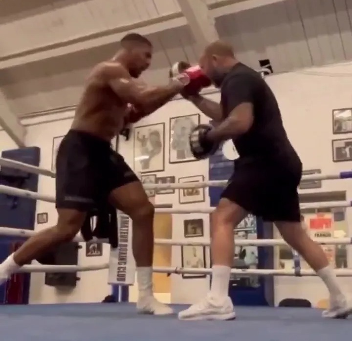 NINTCHDBPICT001047985759