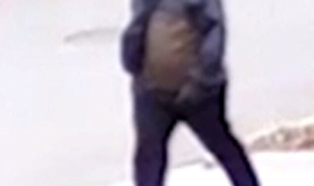 All of the footage released by federal investigators of a 'person of interest' in connection to the shooting has shown his face masked or obscured