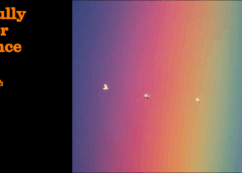 Awfully queer science | Ace North