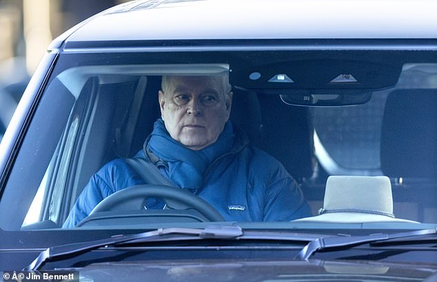 He cut a solitary figure (pictured), driving himself out of the royal estate, wrapped in a scarf and casual waterproof