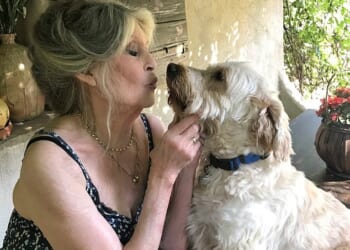 Brigitte Bardot is set to be buried by the sea in the French Riviera resort of Saint-Tropez, it emerged today