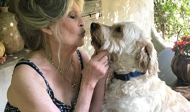 Brigitte Bardot is set to be buried by the sea in the French Riviera resort of Saint-Tropez, it emerged today