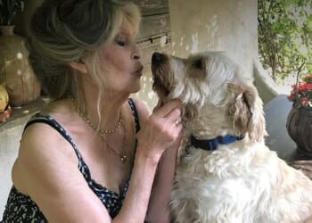 Brigitte Bardot's final posts gave fans a glimpse at the screen icon doing what she loved best - and looking remarkably well - before her death aged 91