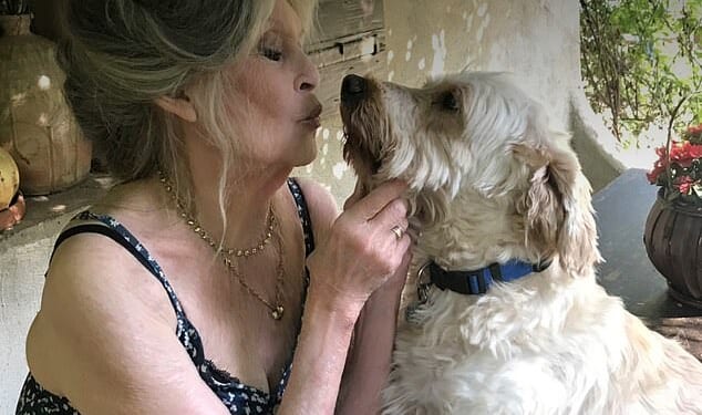 Brigitte Bardot's final posts gave fans a glimpse at the screen icon doing what she loved best - and looking remarkably well - before her death aged 91