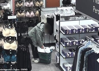 Britain is in the grip of a shoplifting epidemic with a record 810 offences going unsolved a day, figures show