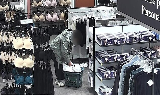 Britain is in the grip of a shoplifting epidemic with a record 810 offences going unsolved a day, figures show