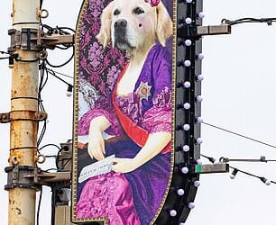 The designs raised eyebrows