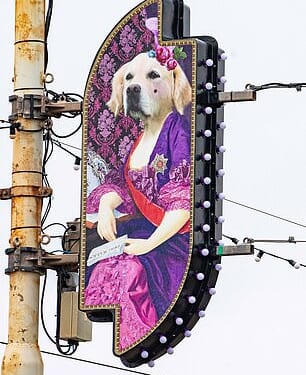 The designs raised eyebrows