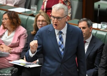 Home Affairs Minister Tony Burke said the British national 'came here to hate' and that he had no right to 'stay'