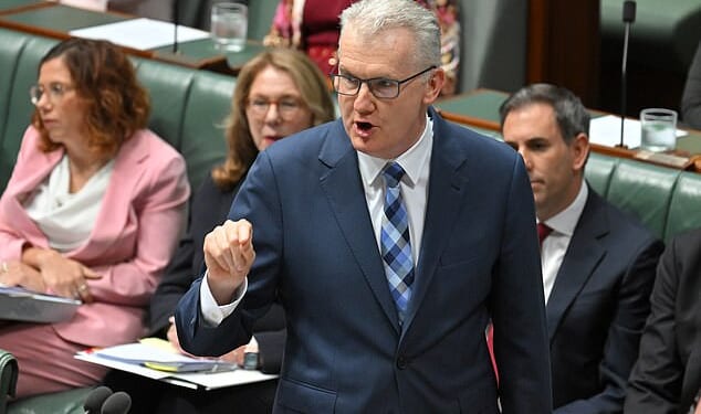 Home Affairs Minister Tony Burke said the British national 'came here to hate' and that he had no right to 'stay'