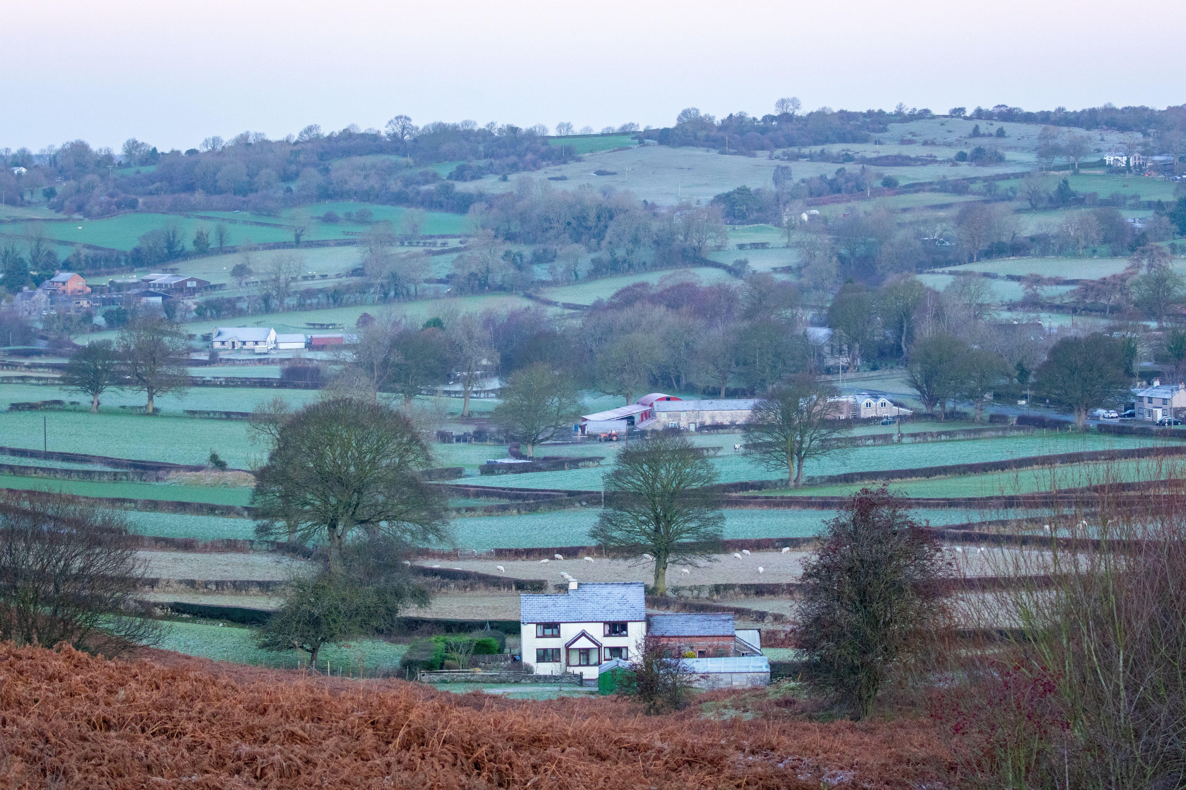 UK Weather: A stunning Boxing Day sunrise bathes the frosty countryside near the village of Rhes-y-Cae in Flintshire, North Wales, in golden light, with temperatures below freezing. The crisp winter air and shimmering frost create a magical atmosphe