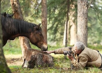 Gordon Buchanan made it his mission to get as close as possible, mimicking the horses' body language to put them at their ease. At one point, crouched in the grass