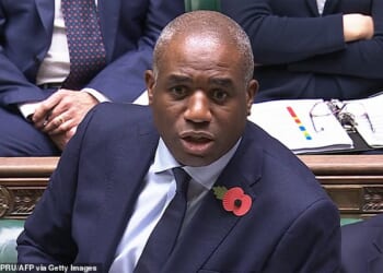David Lammy (pictured) is expected to set out controversial plans this week that would mean judges oversee all but the most serious cases, in order to reduce the backlog of trials and save money