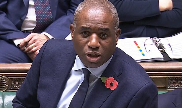 David Lammy (pictured) is expected to set out controversial plans this week that would mean judges oversee all but the most serious cases, in order to reduce the backlog of trials and save money